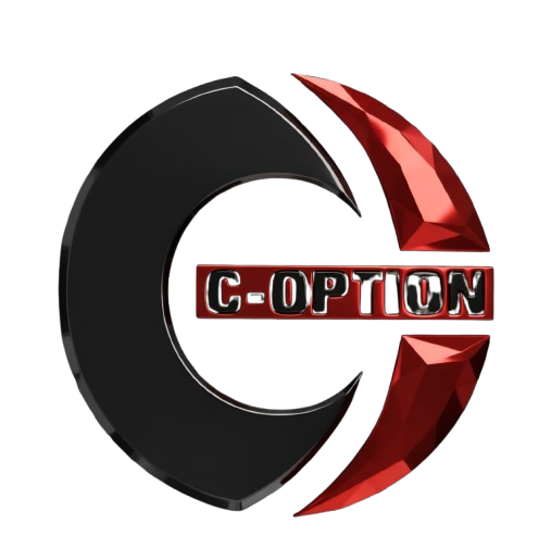 C-option Computer Institution Logo